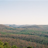 Dupont State Forest